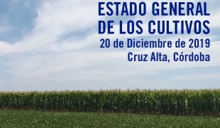 Estado general de los cultivos al 20-12-19