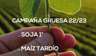 Campaña Gruesa 22/23